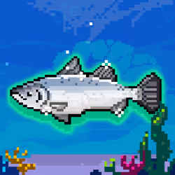 Shiny Barramundi