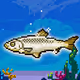 Shiny Whitefish