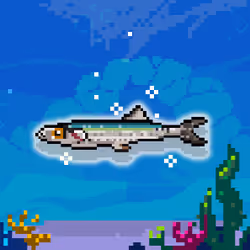 Shiny Anchovy