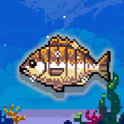 Shiny Bream