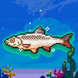 Shiny Chub