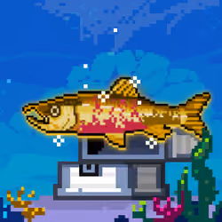 Shiny Chum Salmon