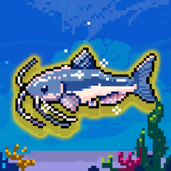 Shiny Catfish