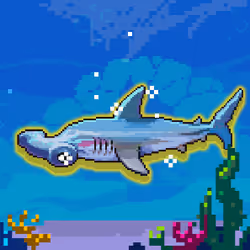 Shiny Hammerhead Shark