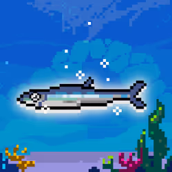 Shiny Silver Sardine