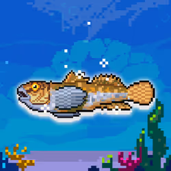 Shiny Goby