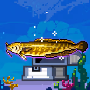 Shiny Burbot