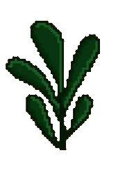 PVR NFT Plant #3805