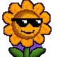 8187