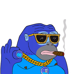 251