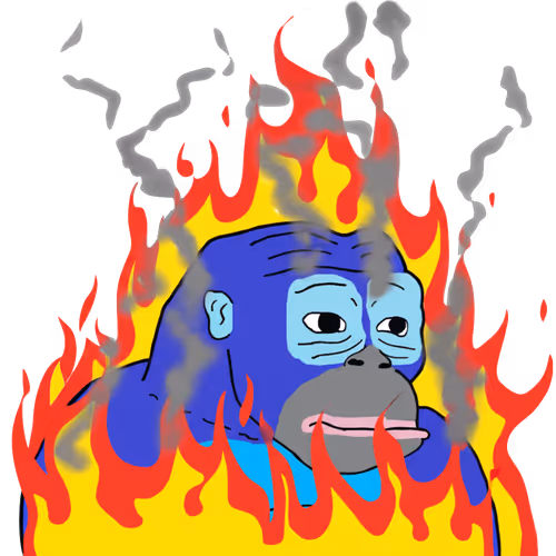 81