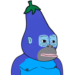 204