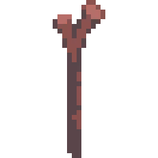 Novice Explorer's Cane