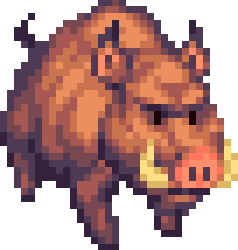 Boar