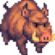 Boar