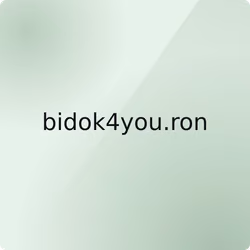 bidok4you.ron