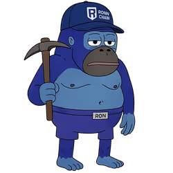 Dronker #2211