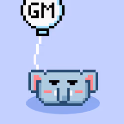 Mallow #504