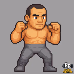 FIGHTER