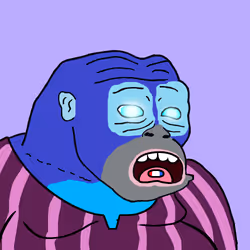 4264