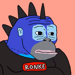 Ronkeverse #349
