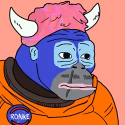 Ronkeverse #273