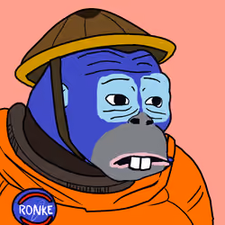 Ronkeverse #3563