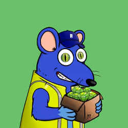 Og Rat #847