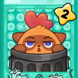 Not a Raccoon