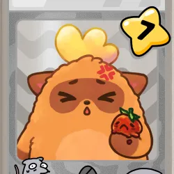 Lil Tomato