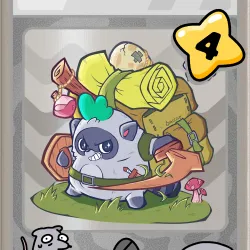 MOKIPACK