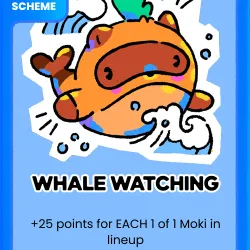 Whale Watching