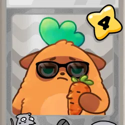 Mr Carrot