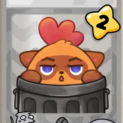 Not a Raccoon