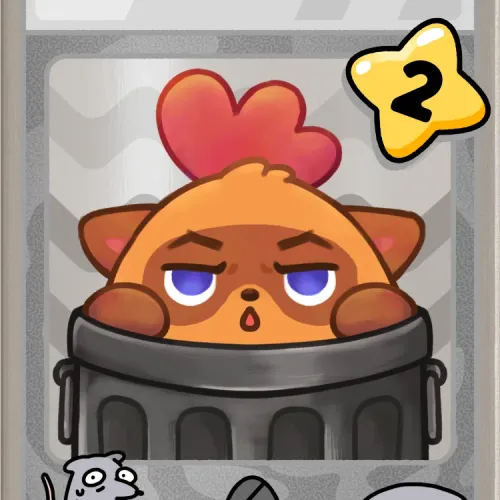 Not a Raccoon