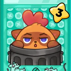 Not a Raccoon