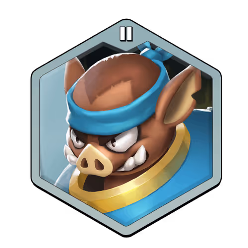 Pigcopter