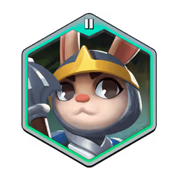 Paladin