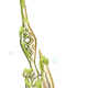 65674496815741123448431299234331264811210