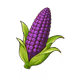 Violet Corn