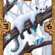 Runes TCG Cards