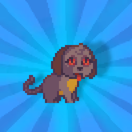 Tamzook