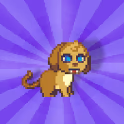 Zaxdia