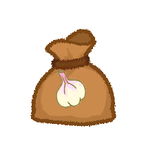 Garlic Seed