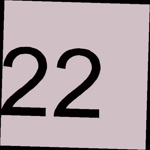 Item #22 Media