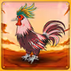 Chicken #549