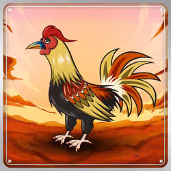Chicken #1895