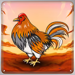 Chicken #1240
