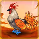 Chicken #1084