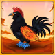 Chicken #1354